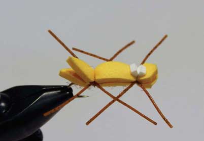 chernobyl ant fly