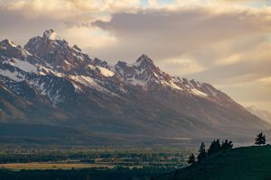 Teton View